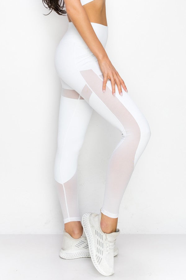 Contour Mesh Leggings